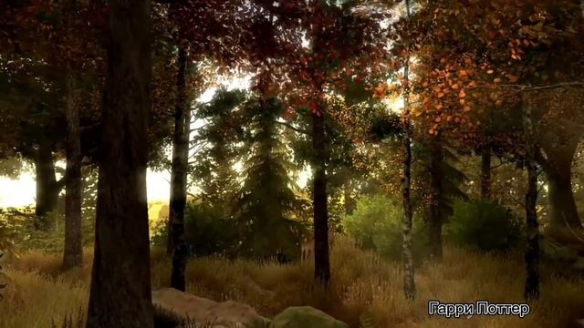 Гарри Поттера и Философский камень. смотреть онлайн