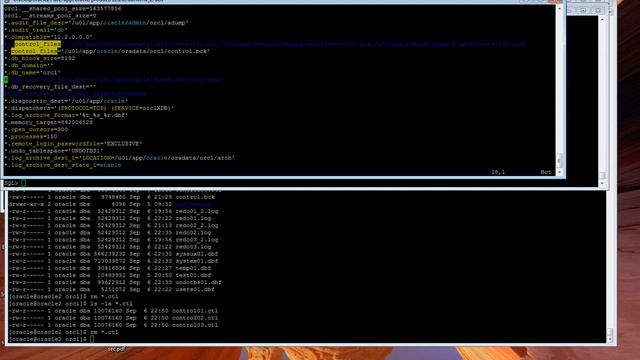 Oracle 11g Backup & Recovery - dealing with losing all control files смотреть онлайн