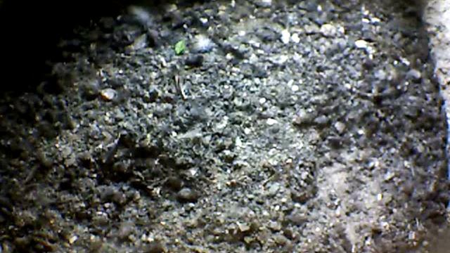 From Internet Camera(Turmfalken[03:1A:A5])2014/07/08,08:36:09_D смотреть онлайн