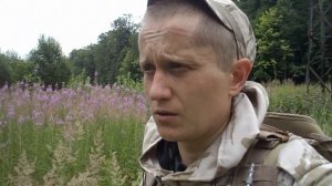 Сборка и сушка аптечной ромашки в домашних условиях