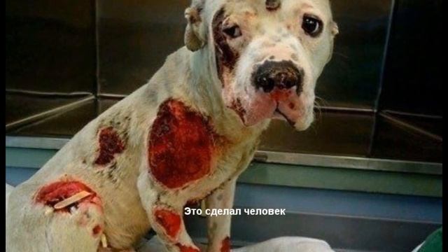 Эти фото меняют мир (Видео 3) смотреть онлайн