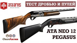 Тест AТA Neo 12 Combo & ATA Pegasus Combo. Стреляем дробью и пулей на 35 и 50 метров.