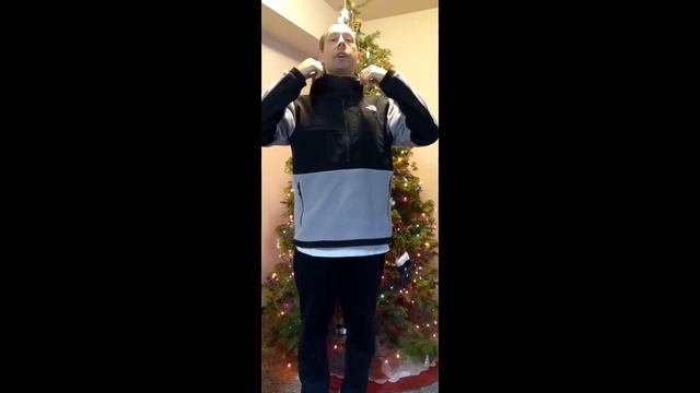 Denali Anorak from The North Face смотреть онлайн