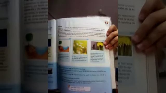 22 апреля 2018 г. смотреть онлайн