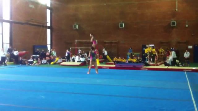 Sara ASD ginnastica Vignate 24 Febbraio 2013 смотреть онлайн