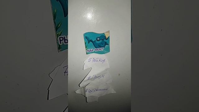 Домашняя коллекция магнитов смотреть онлайн