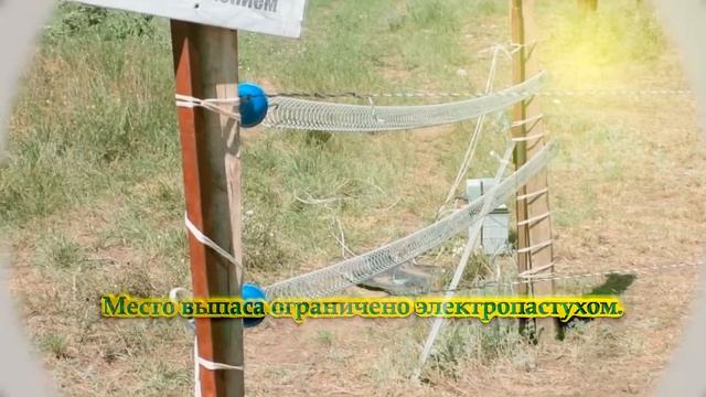 Конный клуб " Аллюр", г. Славгород 2016 г. смотреть онлайн