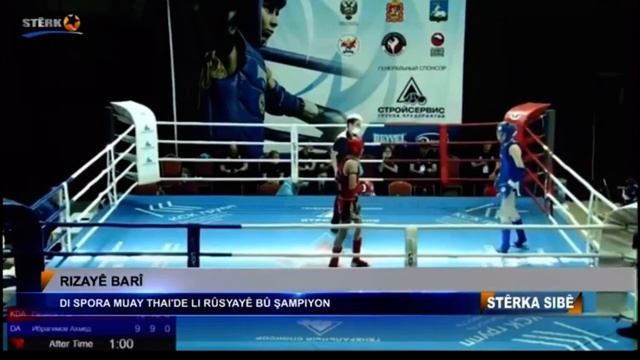 Sterk tv смотреть онлайн
