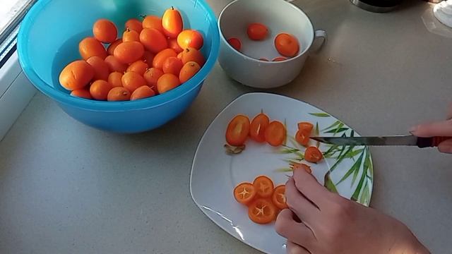 Кумкват Маргарита.Самый урожайный кумкват. Дегустация. Часть вторая. смотреть онлайн