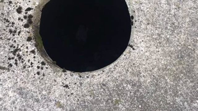 Рыбаки шли за уловом, но внезапно услышали «плач», который раздавался из ямы смотреть онлайн