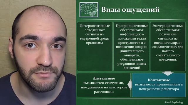 Психология. Понятие, свойства и виды ощущений. смотреть онлайн