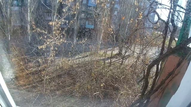 Приехала БАБУШКА- ОБРАДОВАЛИ её / Люди пользуются ДОБРОТОЙ - как Вы считаете? смотреть онлайн