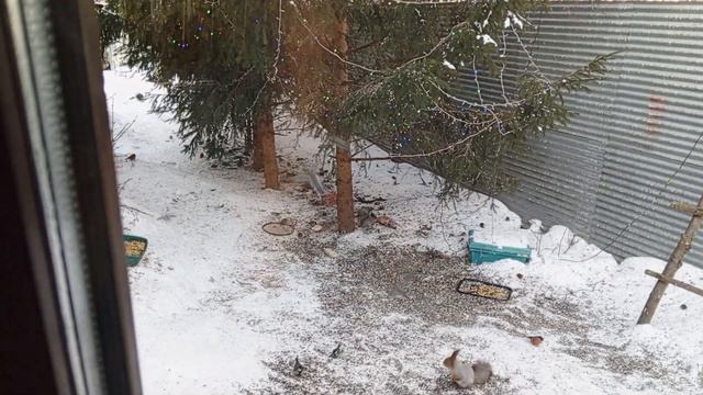 Заботимся обо всех, чтоб никого не оставить голодными. смотреть онлайн