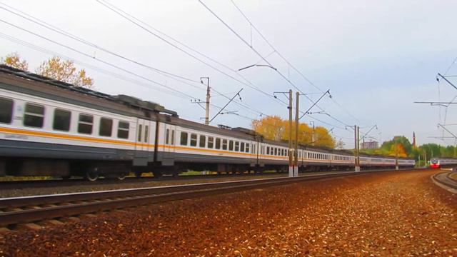 Электропоезда ЭД4М-0467\0492 ЦППК перегон Москва Сортировочная-Очаково 9.10.2018 смотреть онлайн