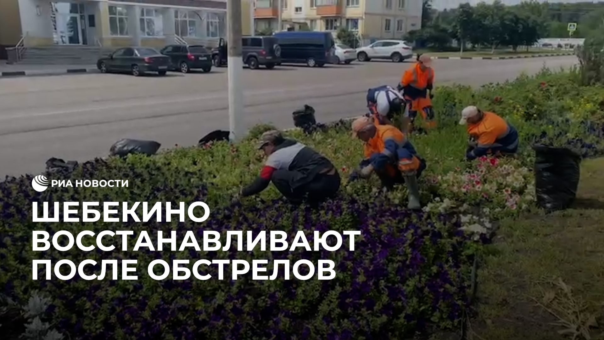 Восстановление Шебекино