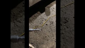 Газель_ поворотный Кулак резьба