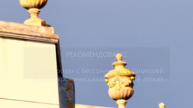 Сбор № 312. При неврозах с бессонницей, возникшей на фоне хронических заболеваний легких с... смотреть онлайн