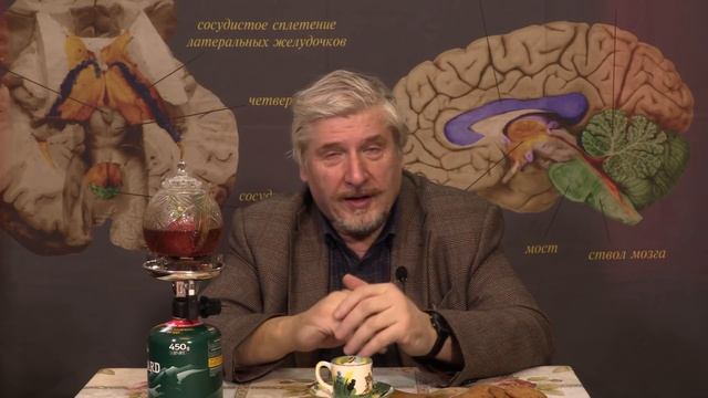 Осмысленное чтение смотреть онлайн