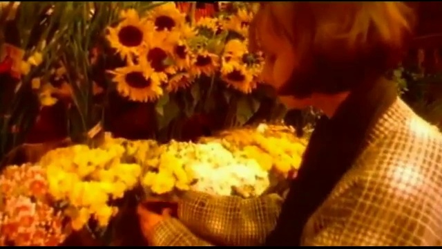 Из моей личной коллекции № 11 смотреть онлайн