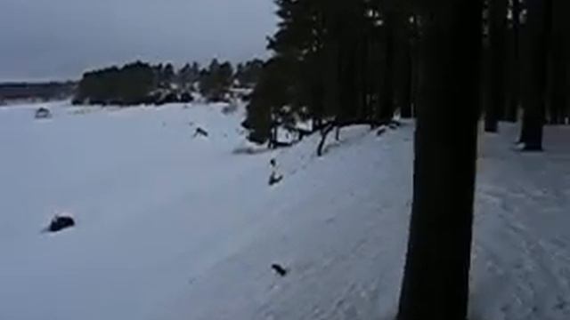 sotkamo смотреть онлайн