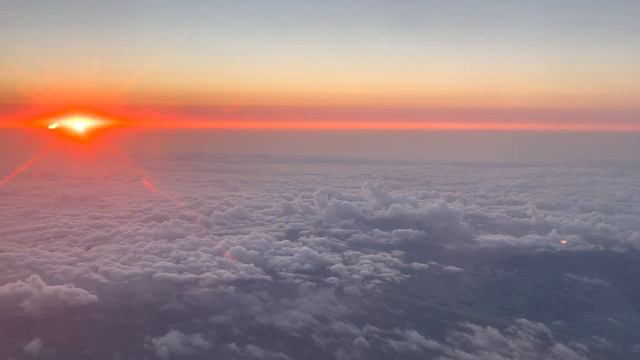 SUNRISE смотреть онлайн
