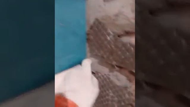 Плиточник-рукожоп 80 го уровня (часть 2) смотреть онлайн