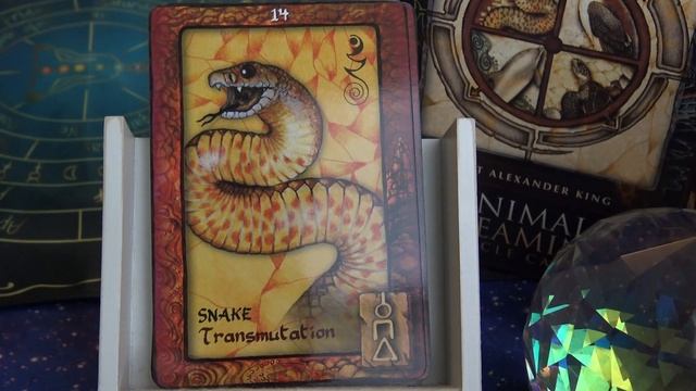 Animal Dreaming Oracle Cards - Full Flip Through смотреть онлайн