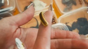 Выставка экзотических животных РЕПТИЛИУМ 2021 | ВЛОГ ОБЗОР