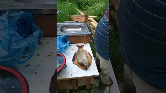 Домашний шеф-повар