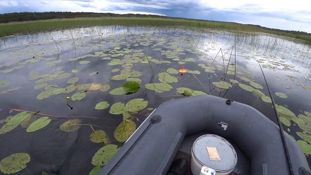 Ловля на кружки щуки и окуня смотреть онлайн