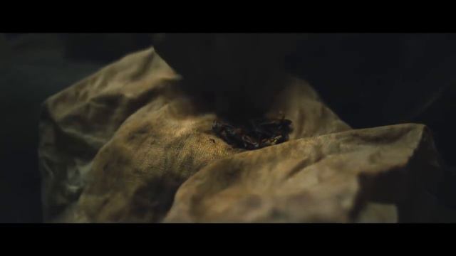 State of Decay 2 The Coach and the Nurse смотреть онлайн