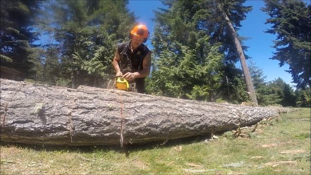 OLD POWER SAWS BUCKING BIG WOOD смотреть онлайн