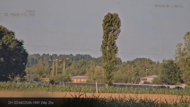 #WizSense SD49225XA-HNR | Parte 2：Función de Zoom óptico ultrarrápido (#FastZoom) de #25x смотреть онлайн