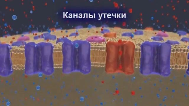 Потенциал покоя смотреть онлайн