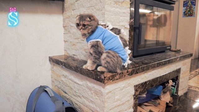 Эмме 7 лет ? День рождения ? РАСПАКОВКА ПОДАРКОВ ? Что подарил Тима? смотреть онлайн