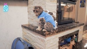 Эмме 7 лет ? День рождения ? РАСПАКОВКА ПОДАРКОВ ? Что подарил Тима?