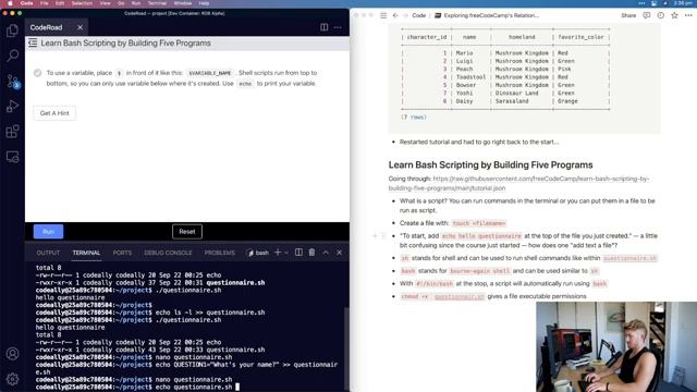 Learning how to write bash scripts with freeCodeCamp's new relational database course (pre-release) смотреть онлайн