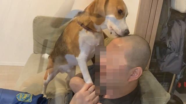 【Vlog Vol.10】【パパの失敗】落ち込む飼い主の慰め方 - Dog Licking Something