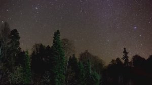 Поход в тайге Усть-Ишимского района