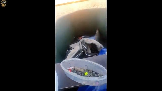 Новые приколы на рыбалке/Неожиданная рыбалка/Смешные случаи на рыбалке/Шок рыбалка/Я ржал до слёз/ смотреть онлайн