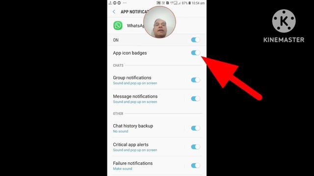 App Icon Badges Kya Hai | What is app icon badges смотреть онлайн