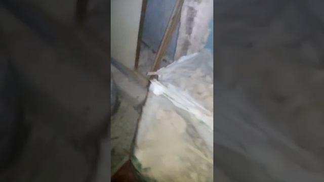 Из 3х комнатной в 4 студии, убираем строительный мусор смотреть онлайн