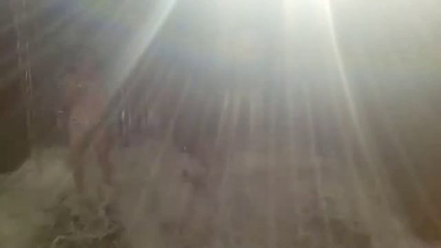 Река Студенка.Беларусь. смотреть онлайн