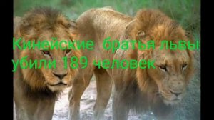 ТОП 10 животные людоеды