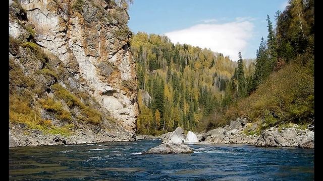 Природа сибири,Леса,животные. смотреть онлайн