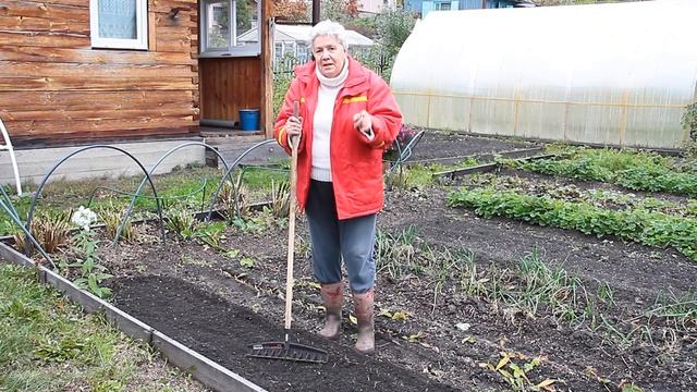 241 Подзимний посев семенами смотреть онлайн