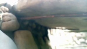 Пруд из бетона своими руками.Часть 4