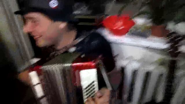 ржачная песня "Ахтунг крокодил" смотреть онлайн