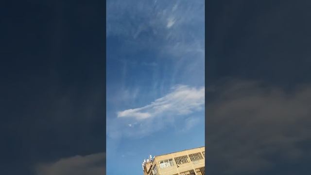 " ЛОХОТРОНЩИКИ " смотреть онлайн